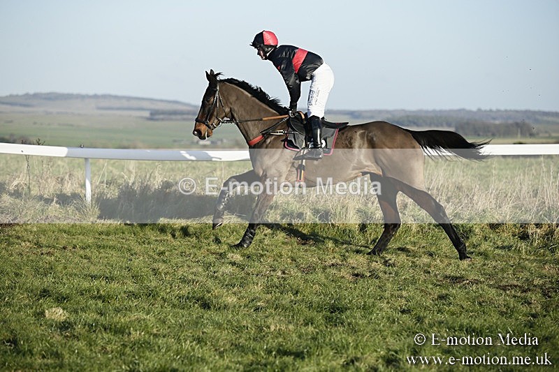 PtP 070118 -499 - Larkhill Racing Club Point to Point Larkhill 07/01/2018