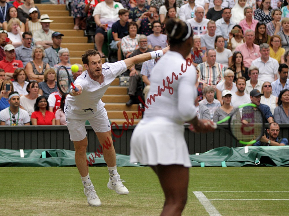 AF0I0142 - Wimbledon