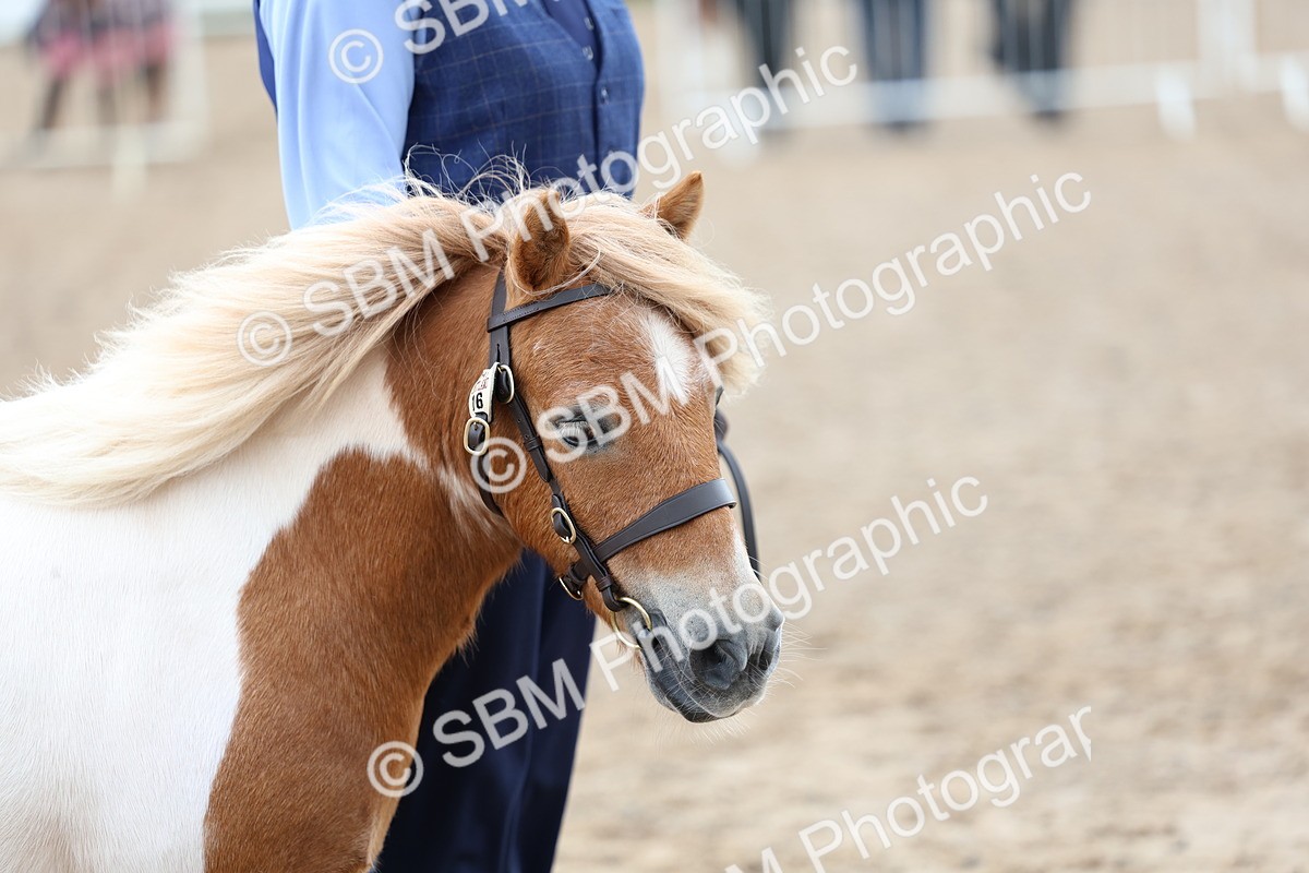 SBM_00313 - Class 15 - IH Coloured