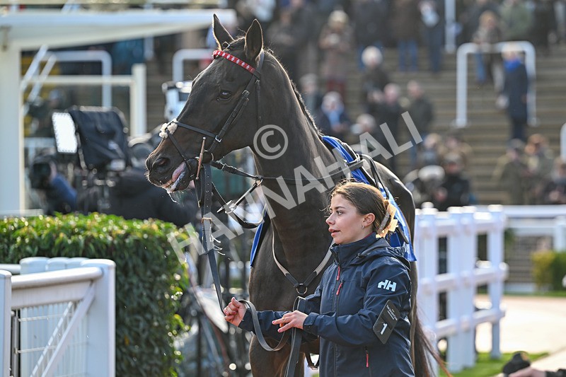 251025-Race 4-Gowel Road-8792 - Race 4