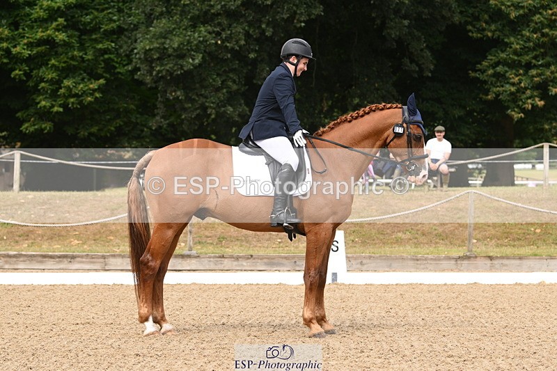 250720A-101645-09494 - 071-Jesse.Poyntz-Wright-Knockaderry.Jack