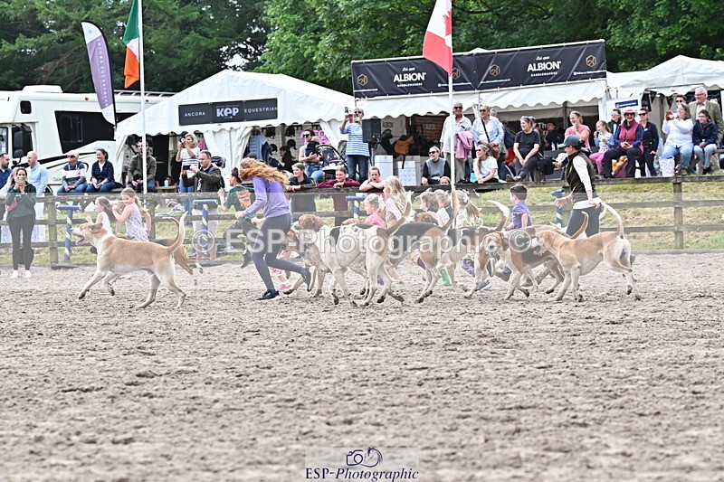 250524A-152924-12806 - East Devon Hounds