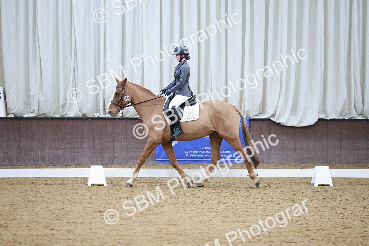 SBM_004640 - Ring 3 - International -  Working Hunter Classes 23-2-25