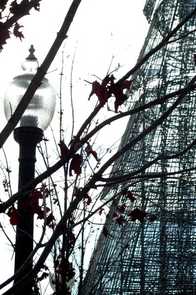 Street Lamp - Oh Xmas Tree