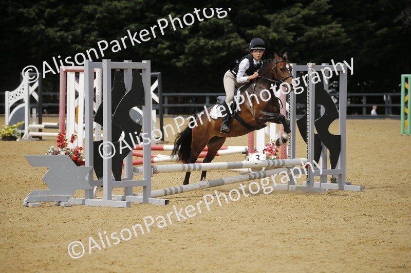 20250622-4606 - 50cm