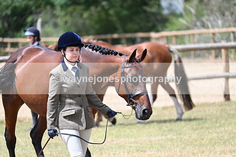 WJ7_1791 - Class 4a Prettiest Mare 14.2hh and over hand