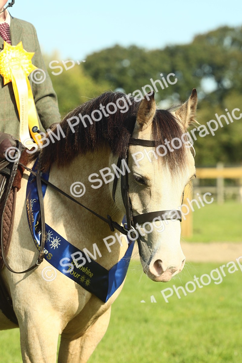 SBM_61108 - Starter Supreme Championship