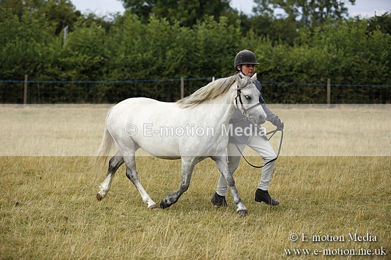 _C7A9608 - BVRC Sow 2018 Ring 2