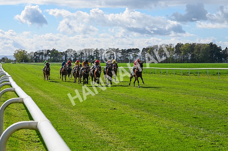 180426-Race 4-Murashah-2387 - Race 4