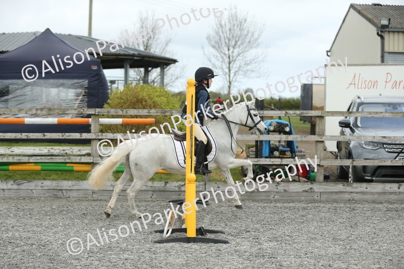 20260412-0692 - Show Jumping