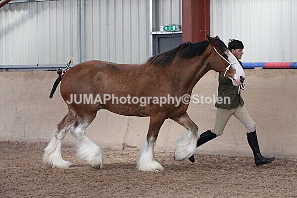 SIAL0190 - Indoor Classes