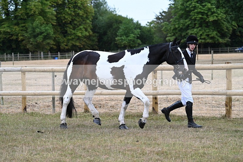 WJ7_8839 - Class 4a Prettiest Mare 14.2hh and over