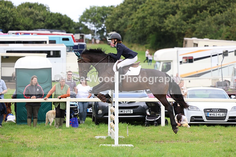 3E7A7016 - Class 5: Senior British Novice/90cm open