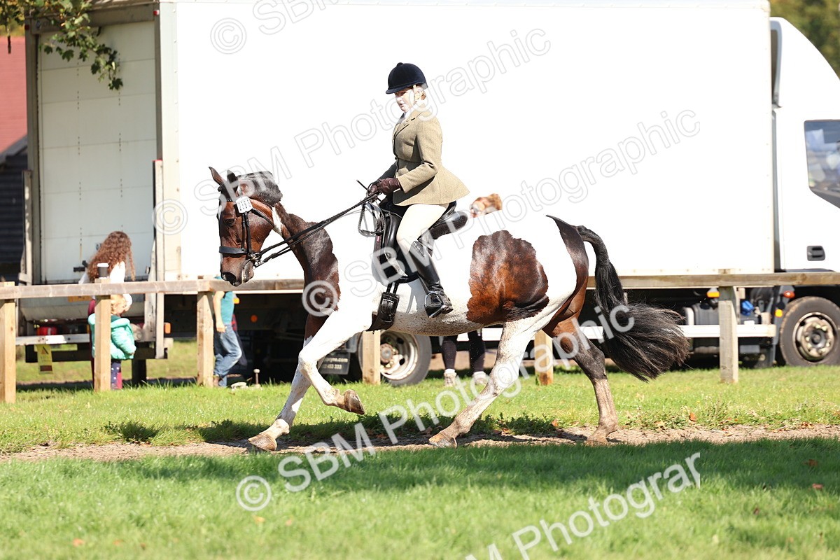 SBM_45262 - S27 - Young Veteran Ridden