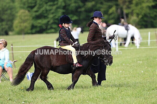 IMG_2253 - Working Hunter
