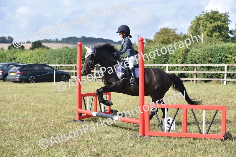 20250831-0431 - Class 7 - Absolute Novice 35cm
