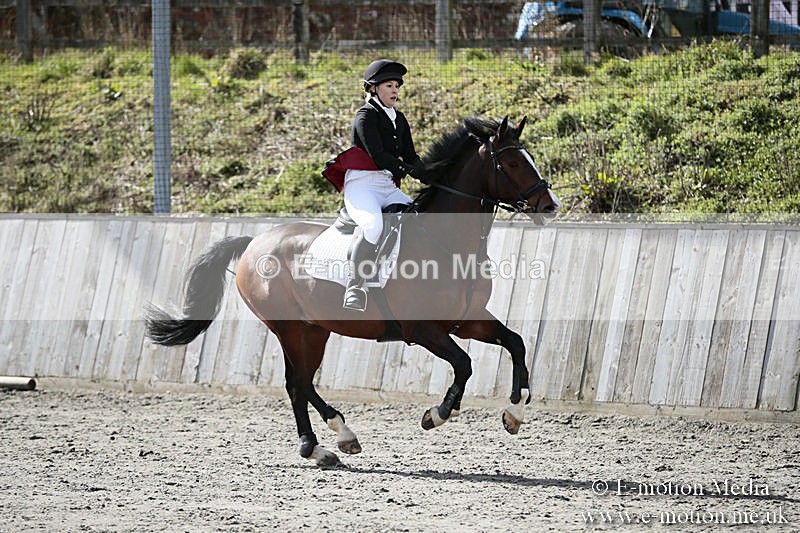 BVRC SJ 170319 435 - Bourne Valley Riding Club Showjumping 17/03/19