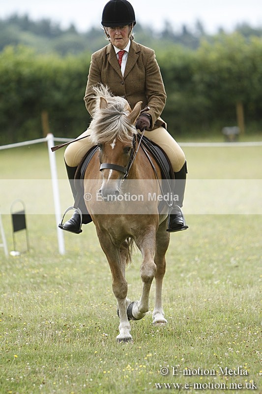 BVR160717-408 - Ring 3 BVRC Show 16/07/17