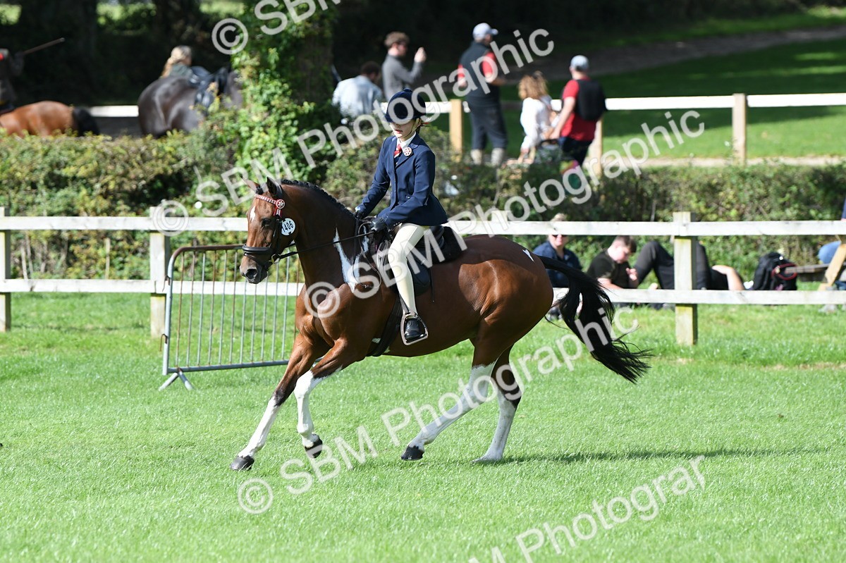 SBM_47145 - S12 - Family Horse & Pony
