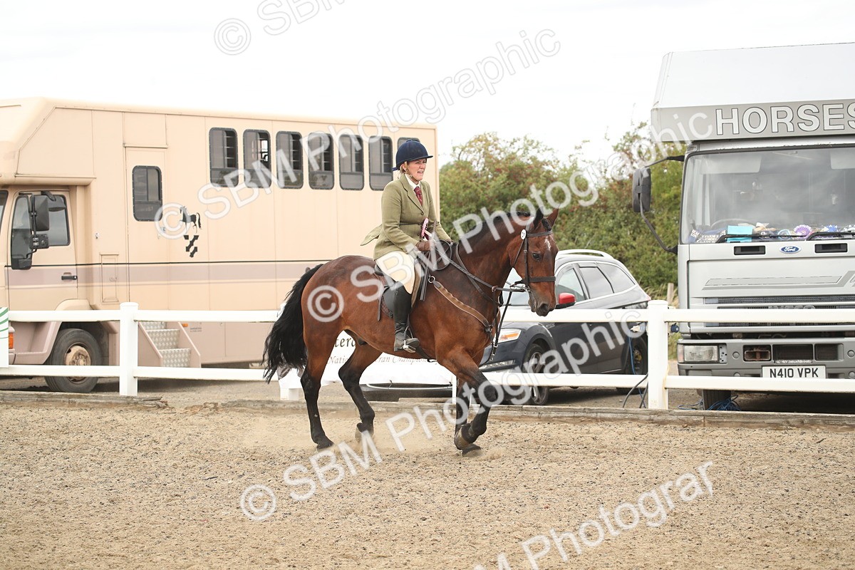 SBM_16857 - Class 507b - Working Veteran 60cm (20+)