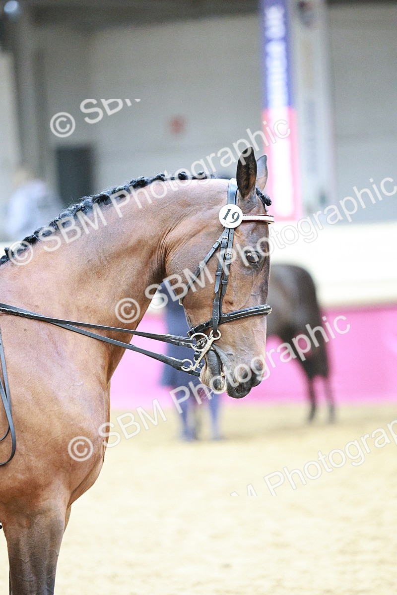 SBM_03404 - Class 6A Area Ridden Pre-Vet