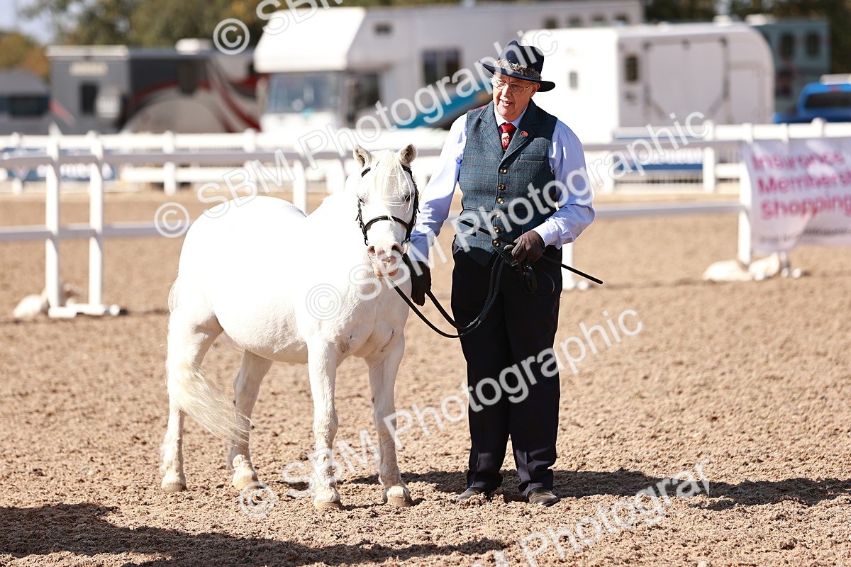 SBM_22901 - Class 706 - IH Veteran