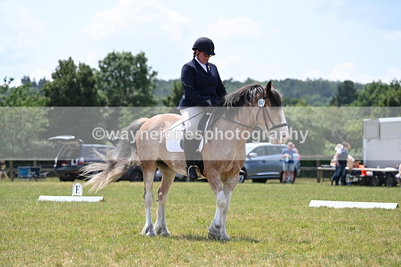 WJ7_8308 - Time 13:35 to 13:40