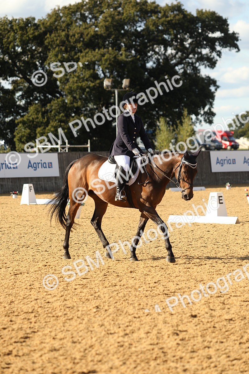 SBM_26984 - D17 - Grand Tour Championship - Novice 27