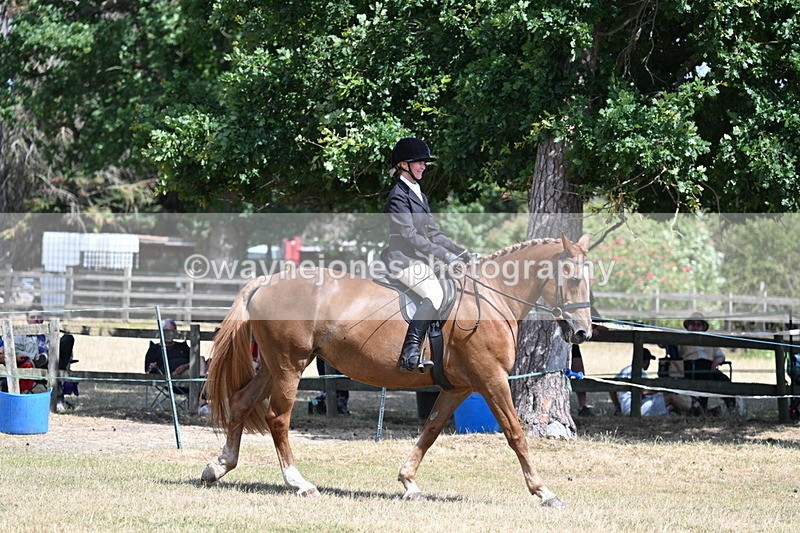 WJ7_3245 - Class 8 Ridden Veterans