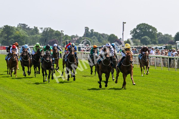 130625-Race 2-Carnation Queen-8615 - Race 2 2.25pm Coopers Marquees Rous Selling Stakes