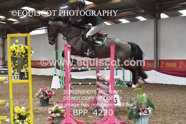BPP_4220 - CLASS 7 Senior Newcomers /1.10M OPEN