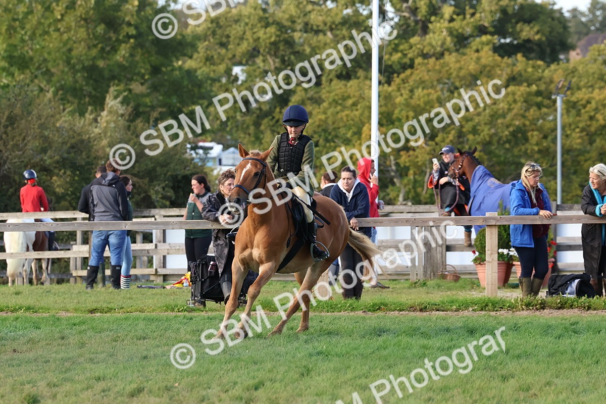 SBM_52590 - S13 - Pony Club Pony