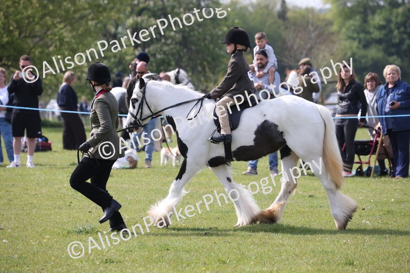 20260426-2548 - Class 31 - Leading Rein