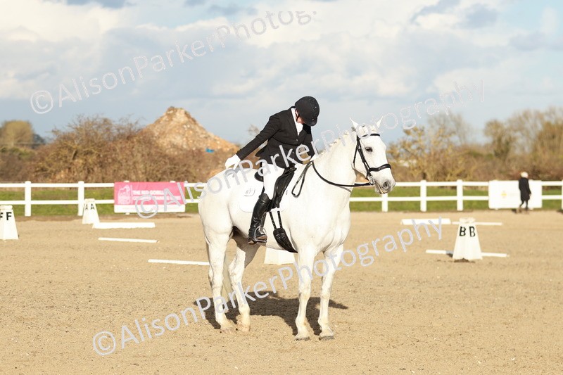 20260314-6285 - CT7 - Elementary 2