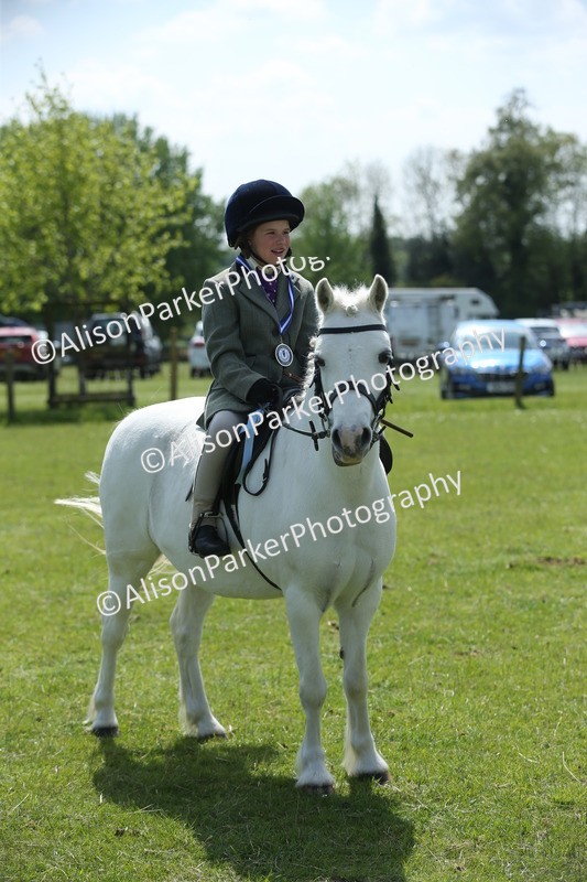 20250427-2841 - Class 7 - Prettiest Mare