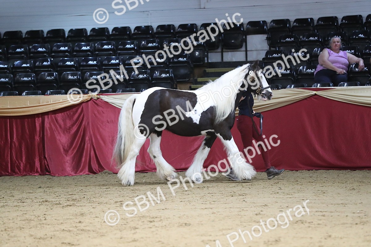 SBM_06241 - Class 9R Regional- IH Pre Vet