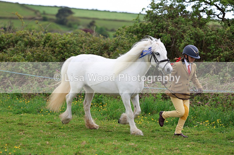 3E7A0767 - In Hand Championship