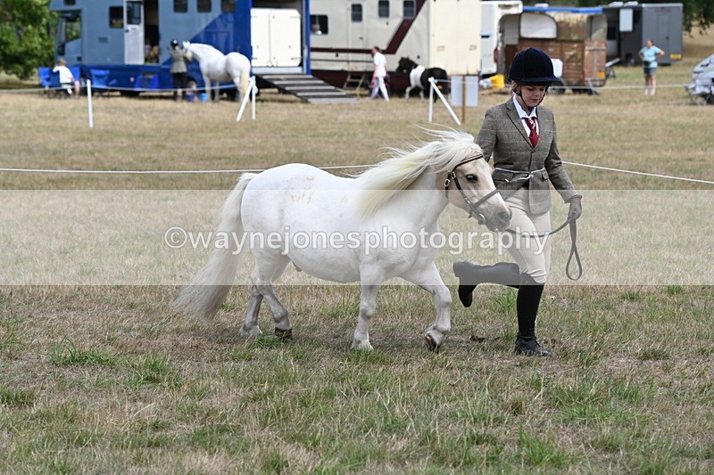WJ6_5950 - Class 19 In-hand Veterans (Uploaded correct folder)