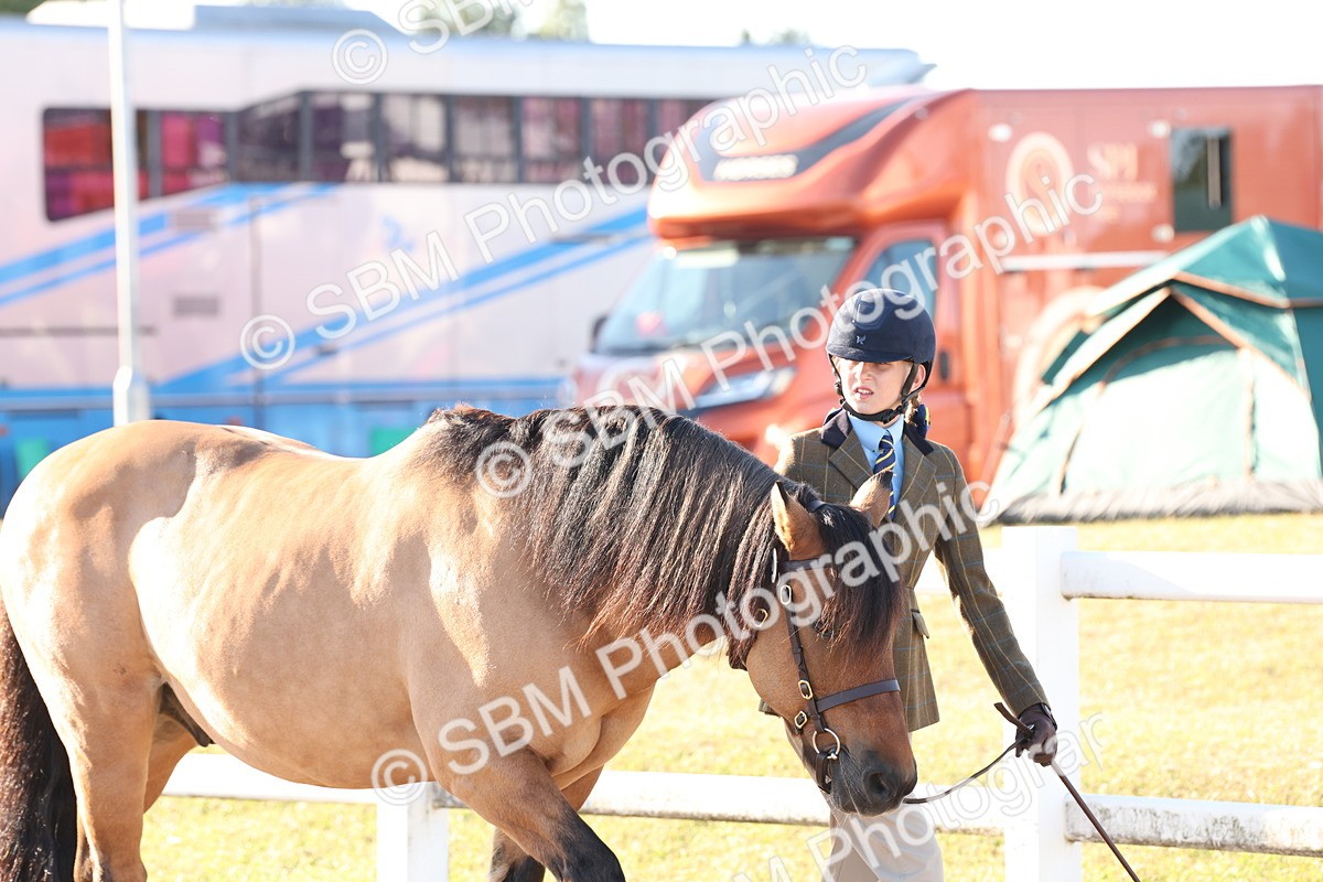 SBM_10762 - Class 201 - Best Turned Out - IH