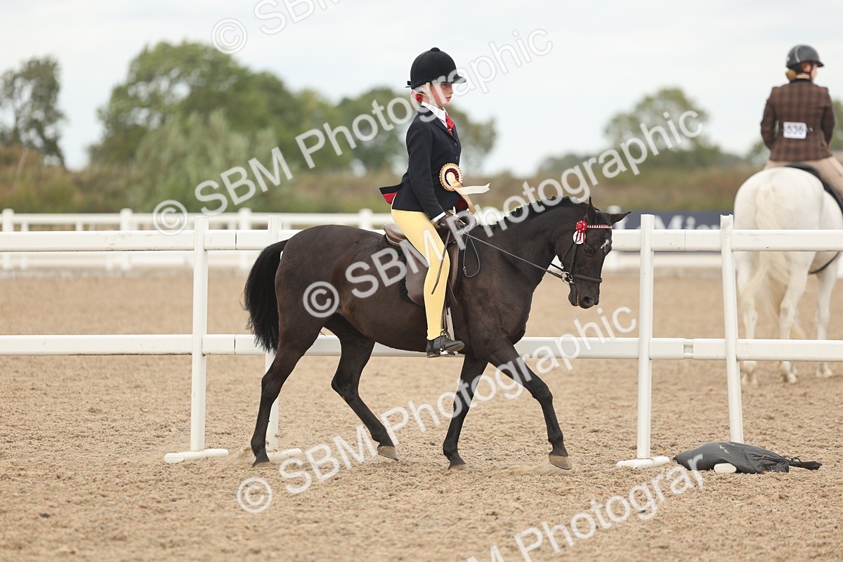 SBM_16098 - Class 311 - Ridden Show pony-Show hunter Pony