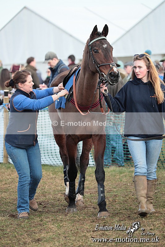 PtP 010325 538 - Beaufort Races Didmarton 01/03/25