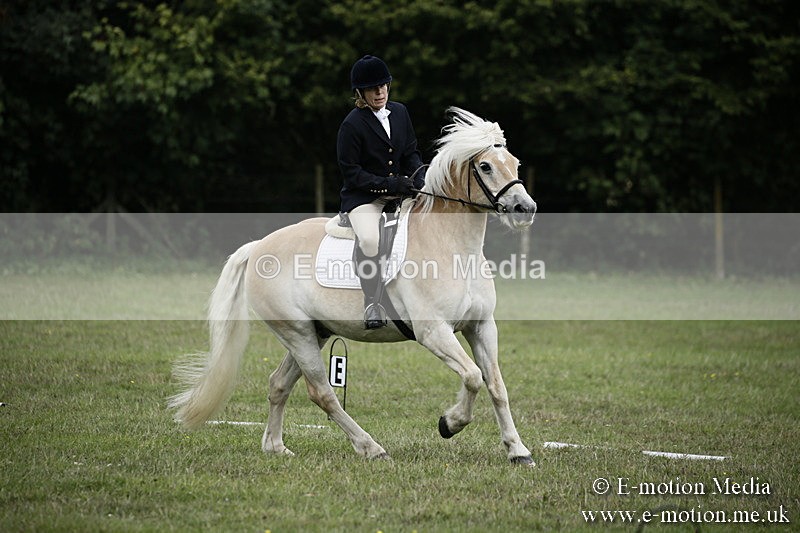 BVR090918 82 - BVRC Dressage and Show Jumping 09/09/18