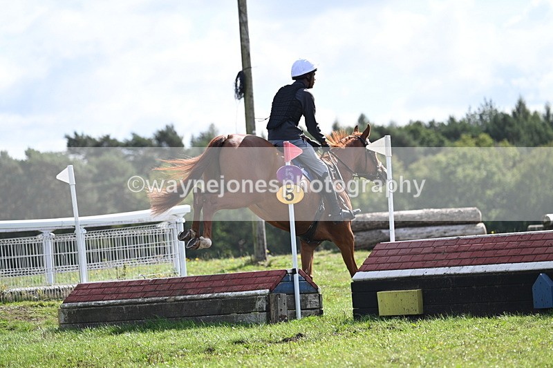 WJ7_0169 - Time 11:02 to 11:34