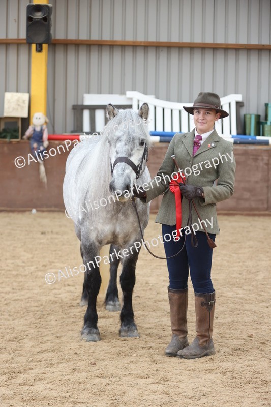 20251109-1048 - Class 28 - Mares 4 Years and over