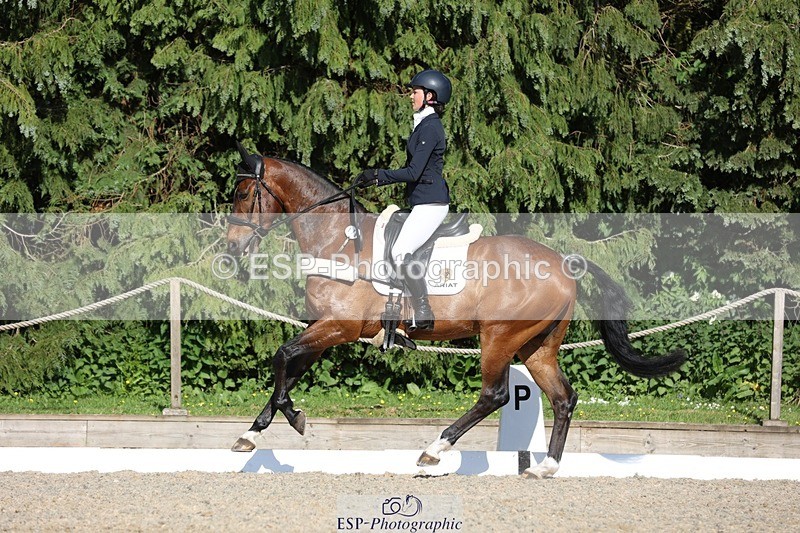 230526-173456-07994 - 179-JARSON-Charlotte_Agnew-WEDTrotUp+DR