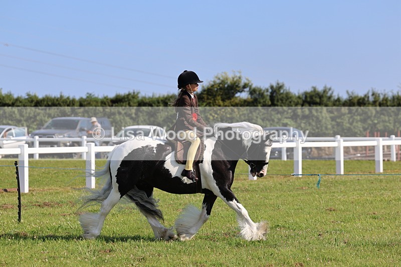 IMG_1623 - Skewbald and Piebald Ridden Championship