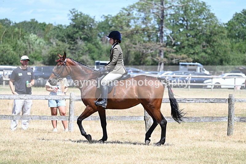 WJ7_2814 - Class 7 Riding Club Show Horse