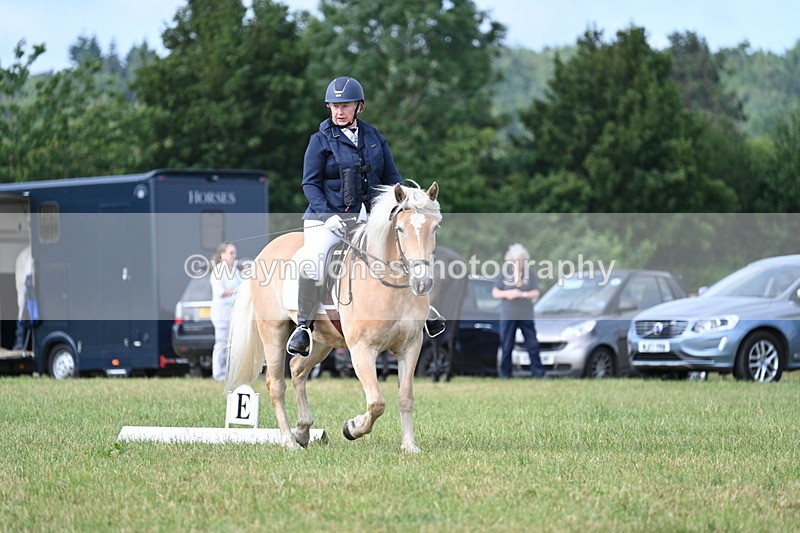 WJ7_1589 - Time 09:00 to 09:22