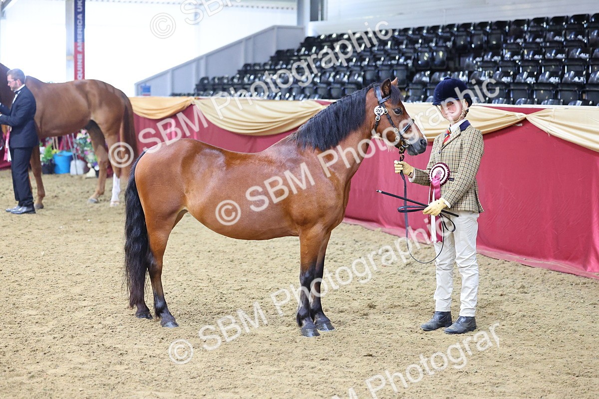 SBM_21182 - Class 902 - Supreme Final IH Veteran