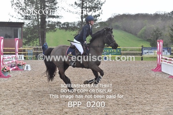 BPP_0200 - CLASS 1 FRI Club/ Unaffiliated 80cms Open